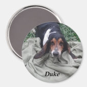 デューク マグネット (正面/裏面)