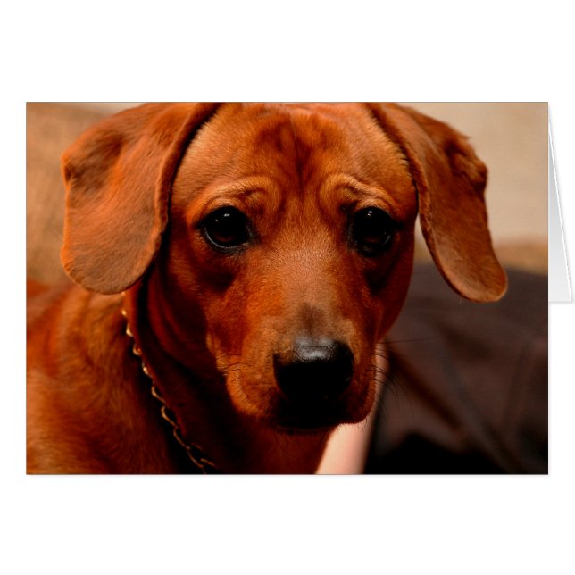 デュース (正面横)