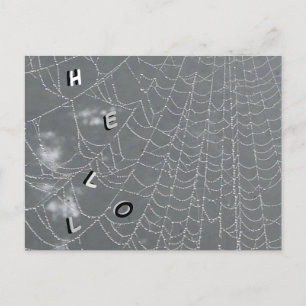 デュードロップスパイダーウェブHELLOポストカード ポストカード