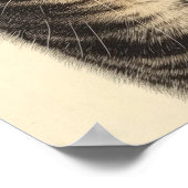 デューラーズ虎猫財宝1 ポスター (角)