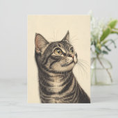 デューラーズ虎猫財宝1 招待状 (スタンド正面)