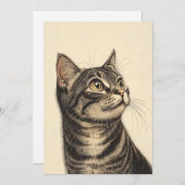 デューラーズ虎猫財宝1 招待状 (正面/裏面)