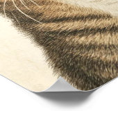 デューラーズ虎猫財宝2 ポスター (角)