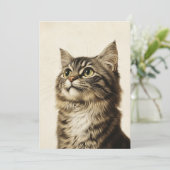 デューラーズ虎猫財宝3 招待状 (スタンド正面)