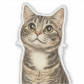 デューラーズ虎猫財宝4 シール (正面)