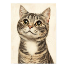 デューラーズ虎猫財宝4