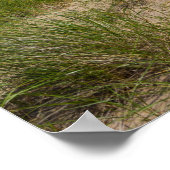 デューンオアット ポスター (角)