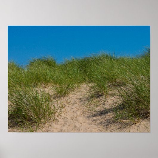 デューンオアット ポスター (正面)