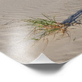 デューングラスオンビーチ フォトプリント            (角)