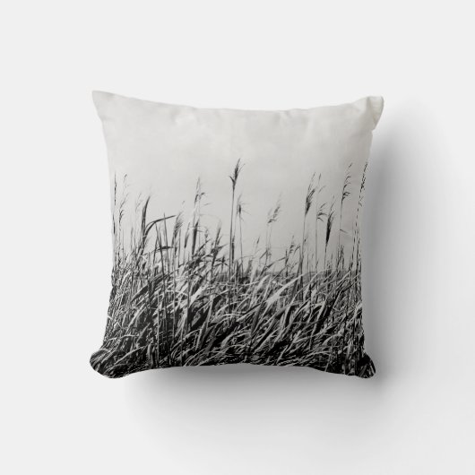 デューントリプチチIII クッション (正面)