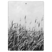 デューントリプチチIII クリップボード (裏面)