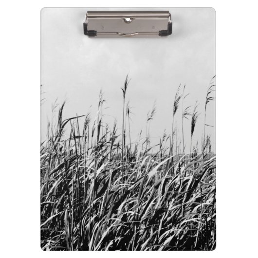 デューントリプチチIII クリップボード (正面)