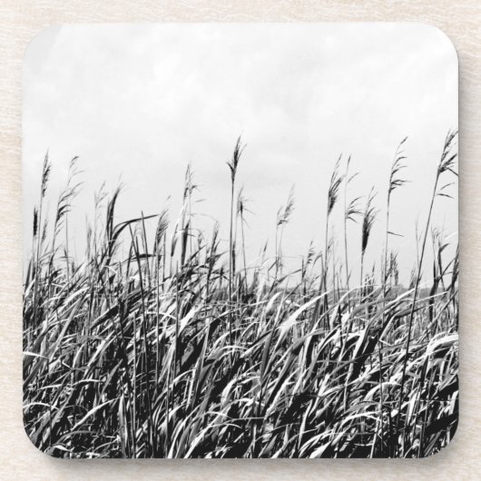 デューントリプチチIII コースター (正面)