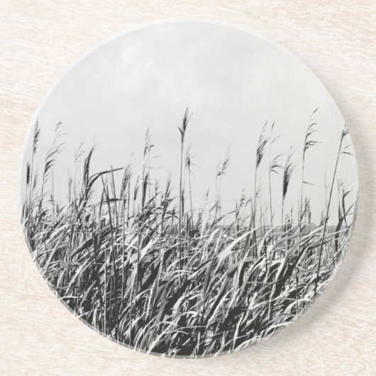 デューントリプチチIII コースター (正面)