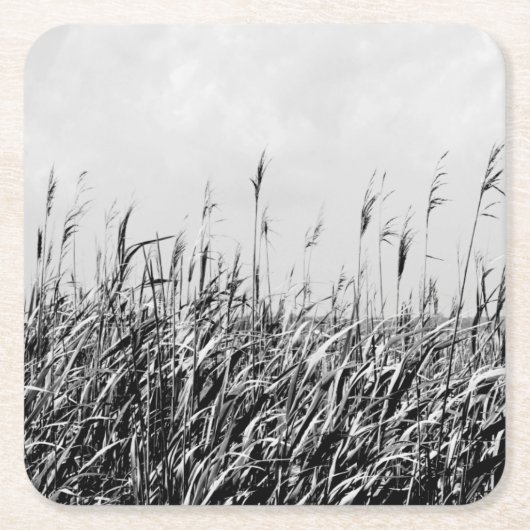 デューントリプチチIII スクエアペーパーコースター (正面)