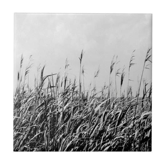 デューントリプチチIII タイル (正面)