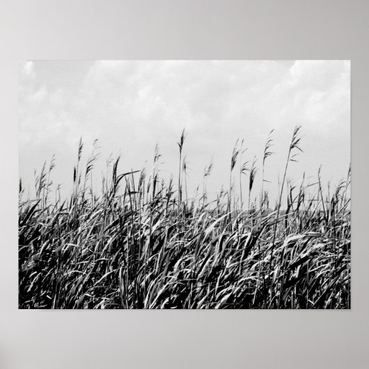 デューントリプチチIII ポスター (正面)