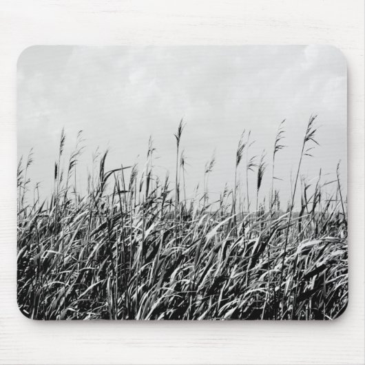 デューントリプチチIII マウスパッド (正面)