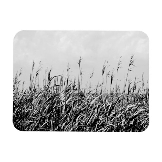 デューントリプチチIII マグネット (横)