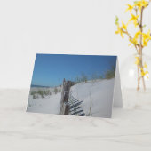 デューン・フェンス カード (黄色い花)