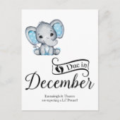 デュー12月リトルピーナッツ男の赤ちゃんゾウ ポストカード (正面)