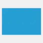 デラウェアの地図 ラッピングペーパーシート (正面2)