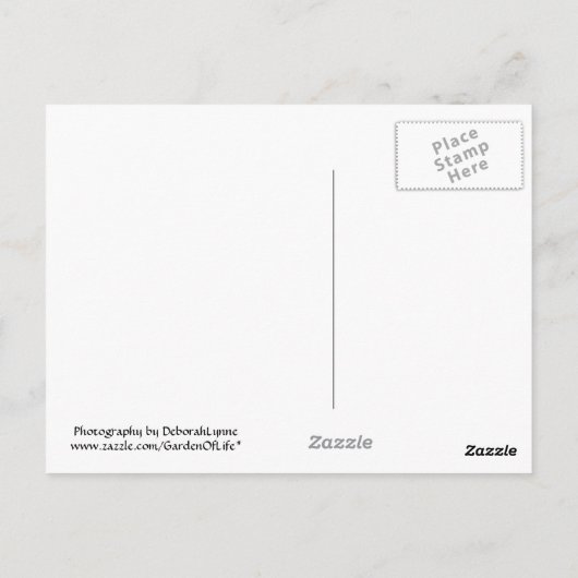 デラウェアの水不足 ポストカード (裏面)