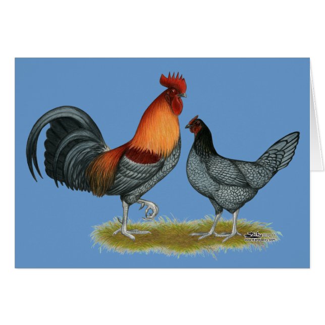 デラウェアブルーヘン (正面横)