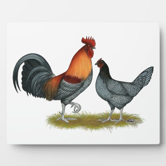 デラウェアブルーヘン フォトプラーク (正面)