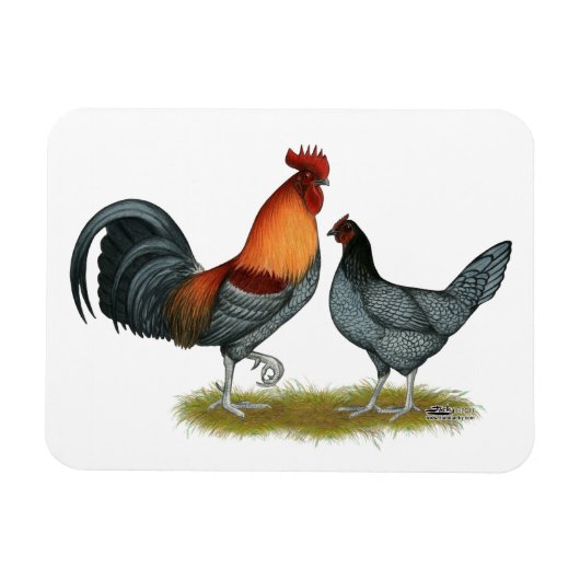 デラウェアブルーヘン マグネット (横)