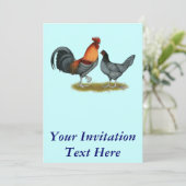 デラウェアブルーヘン 招待状 (スタンド正面)