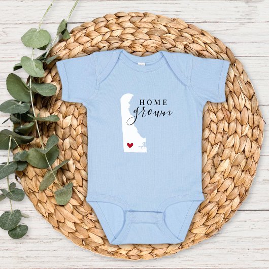 デラウェアホームグロウン州ティー ベビーボディスーツ