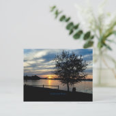 デラウェア川、風光明媚な写真、 ポストカード (スタンド正面)