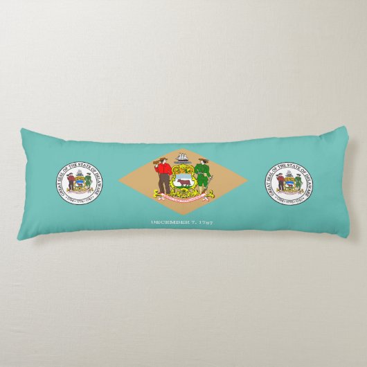 デラウェア州旗 ボディピロー (正面)
