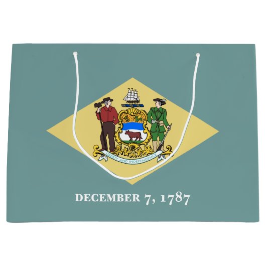 デラウェア州旗 ラージペーパーバッグ (正面)