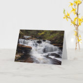 デラウェア州滝-秋2018年 カード (黄色い花)