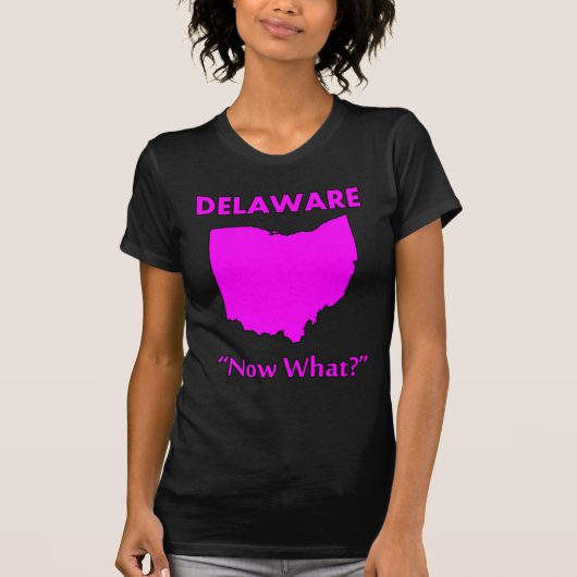 デラウェア州 - 次は何を？ Tシャツ (正面)