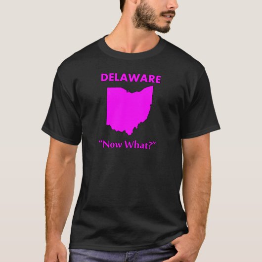 デラウェア州 - 次は何を？ Tシャツ (正面)
