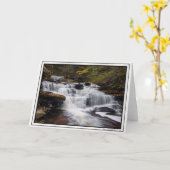 デラウェア滝 – 秋2018 カード (黄色い花)