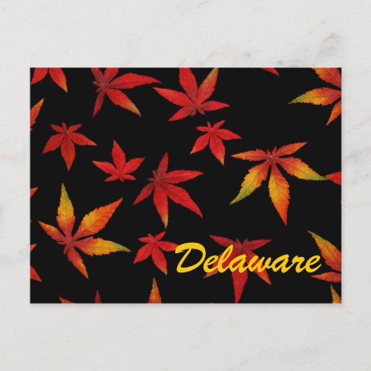 デラウェア紅葉はがき ポストカード (正面)