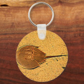 デラウェア馬蹄蟹 キーホルダー (正面)