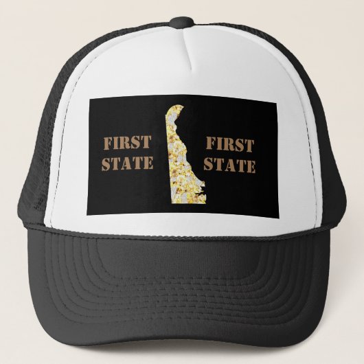 デラウェア キャップ (正面)