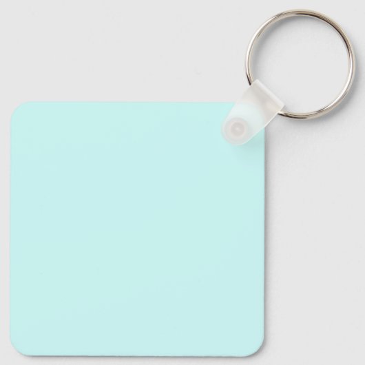 デラウェア キーホルダー (裏面)