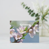 デラウェア ポストカード (スタンド正面)