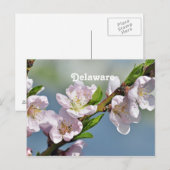 デラウェア ポストカード (正面/裏面)