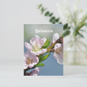 デラウェア ポストカード (スタンド正面)