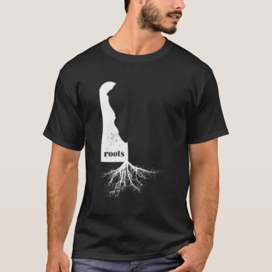 デラウェアSルーツ州ラブ Tシャツ (正面)