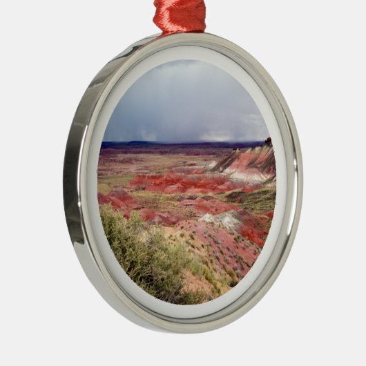 デラックスな色彩の鮮やかな砂漠 メタルオーナメント (右)
