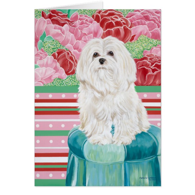 デラバラマルチーズ (正面)