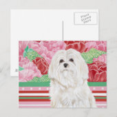 デラバラマルチーズ ポストカード (正面/裏面)